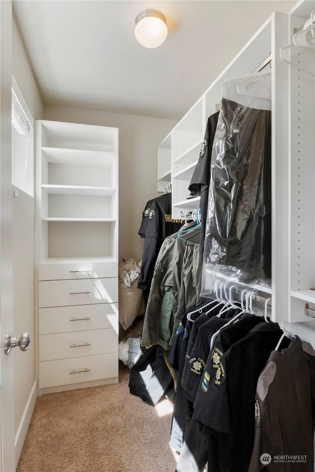 spacious closet with light colored carpet