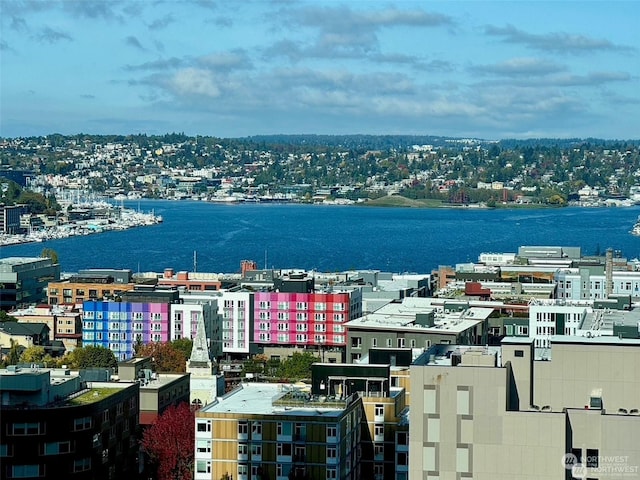 drone / aerial view featuring a water view