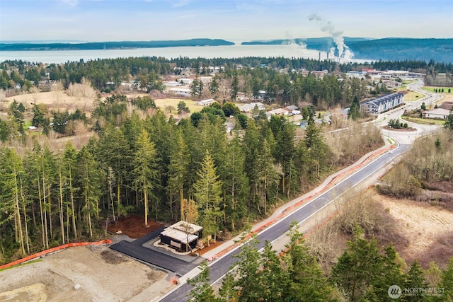 birds eye view of property featuring a water view and a view of trees