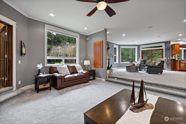 living room with crown molding and carpet floors