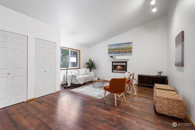 living room with dark wood-type flooring and vaulted ceiling