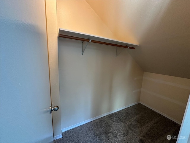 spacious closet featuring vaulted ceiling and carpet flooring