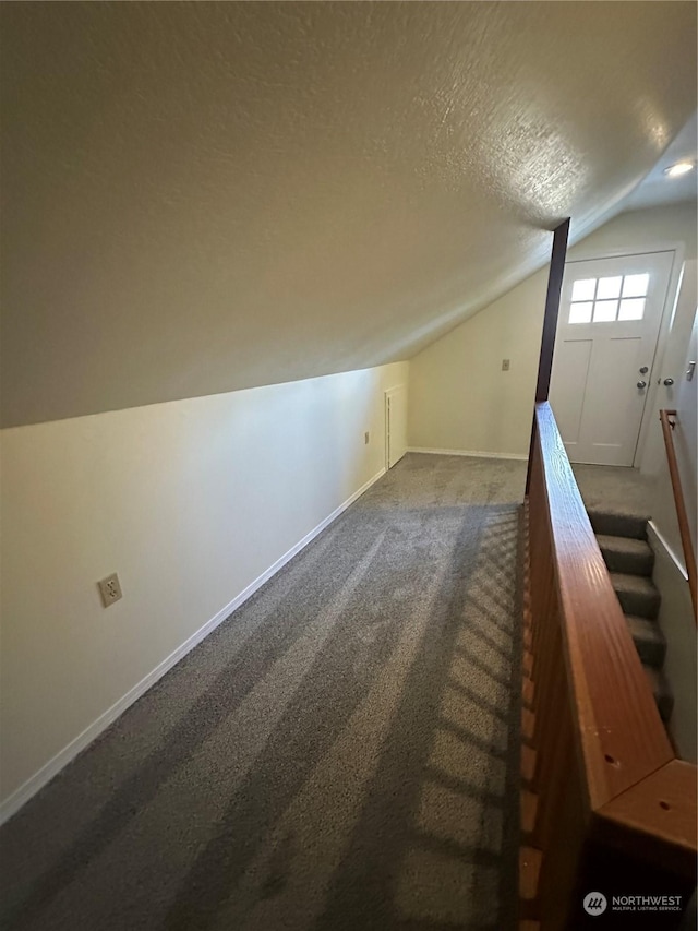 additional living space featuring lofted ceiling, carpet, and a textured ceiling