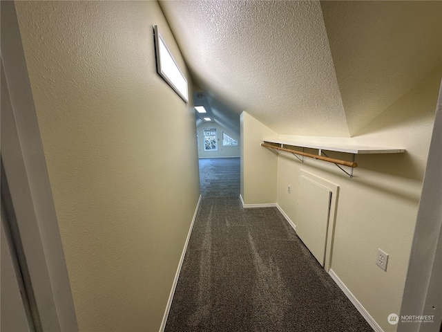 walk in closet with vaulted ceiling and dark colored carpet