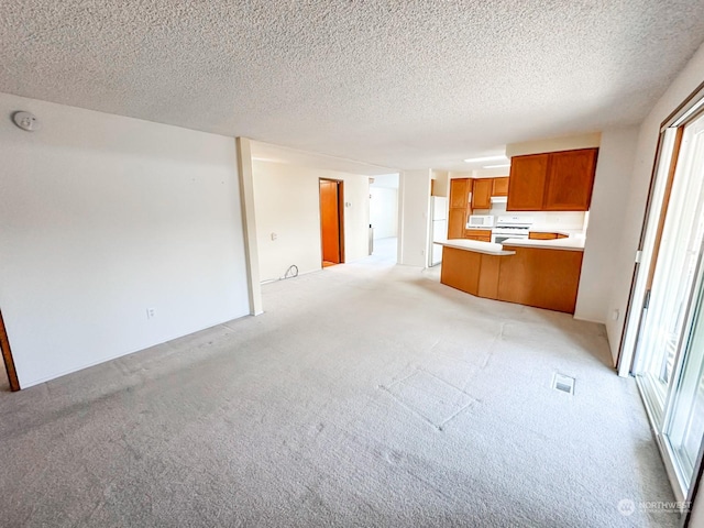 unfurnished living room with light carpet and a textured ceiling