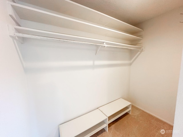 spacious closet with carpet floors