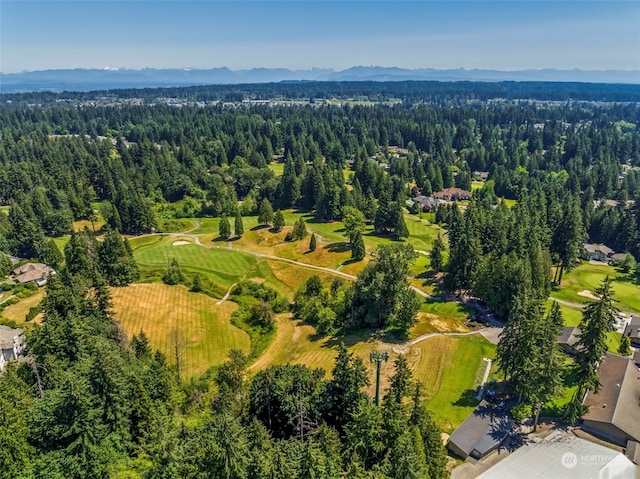 birds eye view of property featuring a mountain view