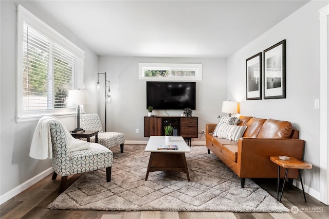 living room with hardwood / wood-style floors