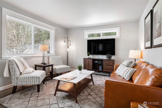 living room featuring light hardwood / wood-style floors