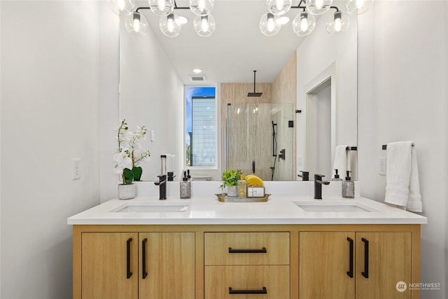 bathroom with vanity and walk in shower