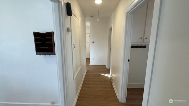 hallway featuring dark wood-type flooring