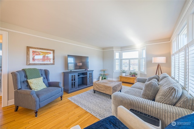 living room with wood-type flooring