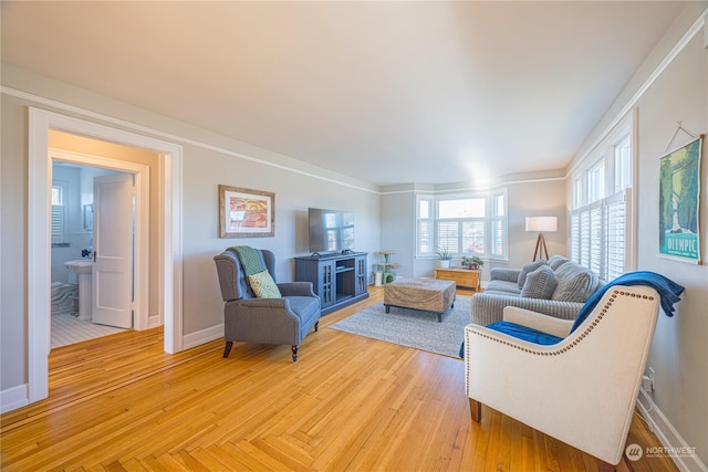 living room with light hardwood / wood-style floors