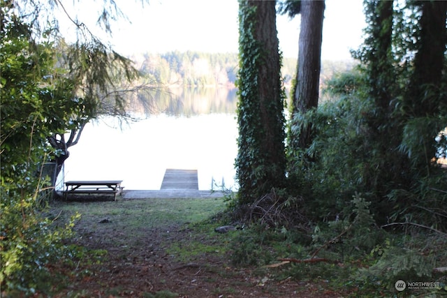 view of yard with a water view and a boat dock