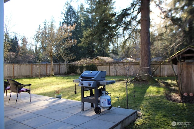 view of yard with a patio