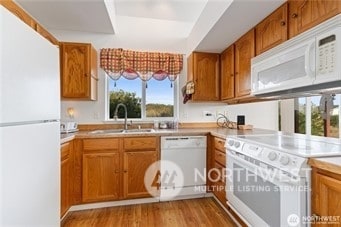 kitchen featuring sink, white appliances, and light hardwood / wood-style flooring