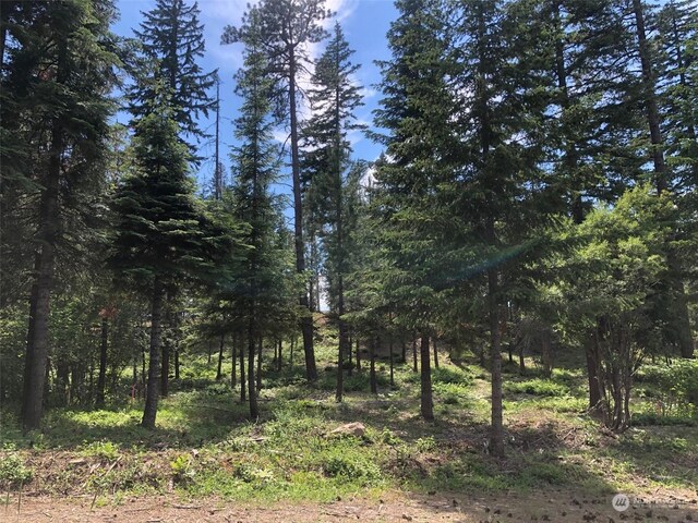 20 Old Grove Trl, Cle Elum WA, 98922 land for sale