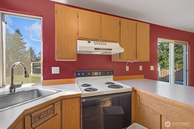 kitchen featuring electric stove and sink