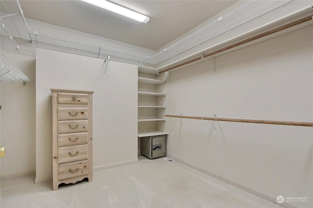 spacious closet with light carpet