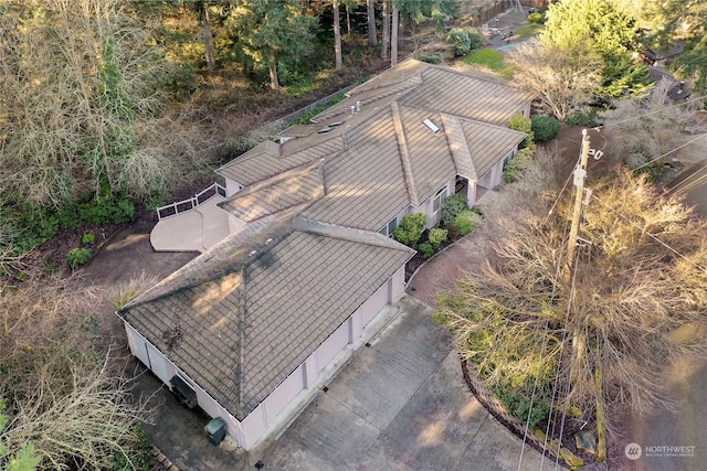 aerial view