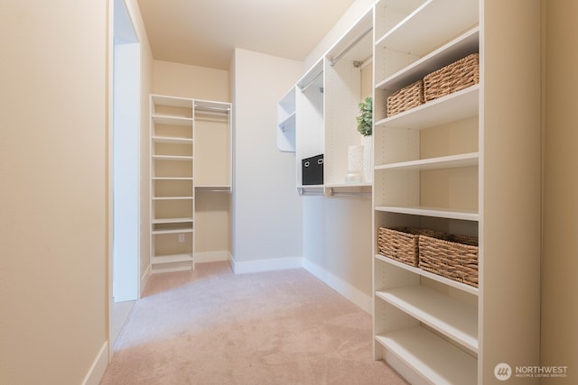 spacious closet featuring carpet