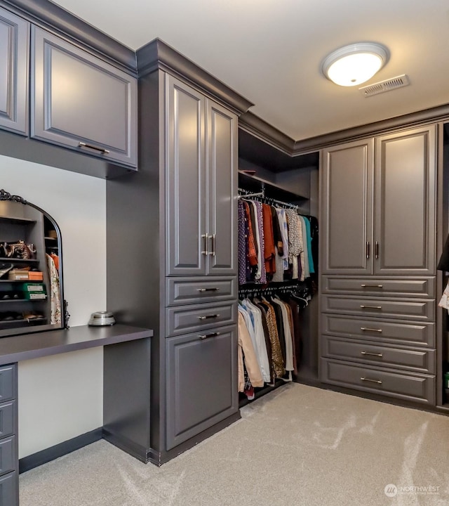 spacious closet with light colored carpet