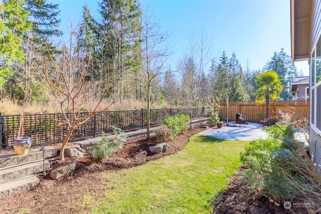 view of yard featuring a patio