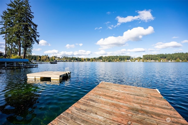 dock area with a water view