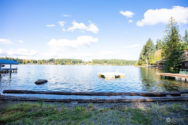 view of water feature featuring a dock