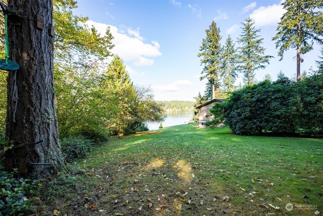 view of yard with a water view