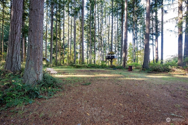 view of local wilderness