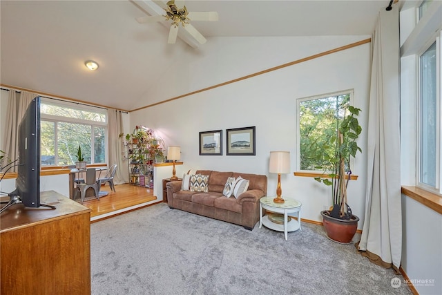 carpeted living room featuring ceiling fan and lofted ceiling