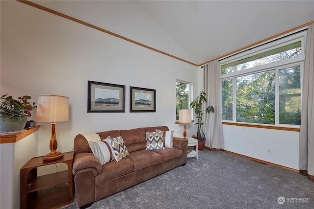 living room with high vaulted ceiling and dark colored carpet