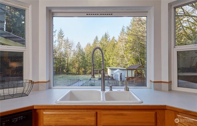 kitchen with a healthy amount of sunlight, sink, and dishwasher