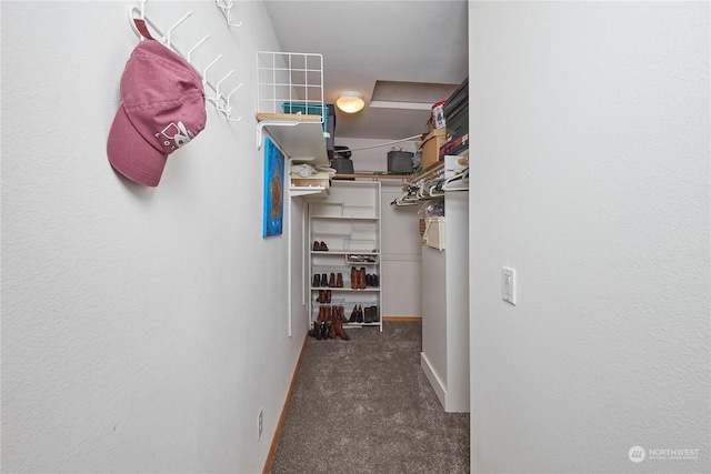 walk in closet featuring dark carpet