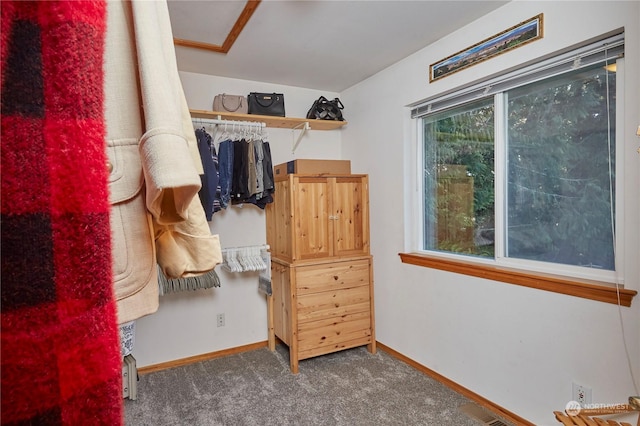 spacious closet featuring carpet flooring