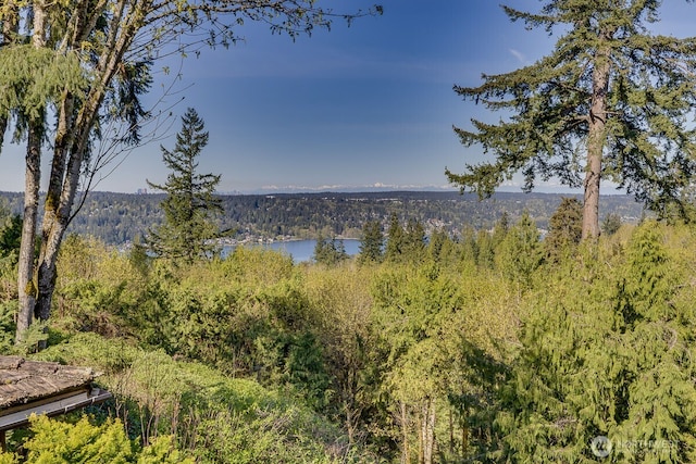view of water feature with a wooded view