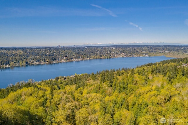 property view of water featuring a wooded view