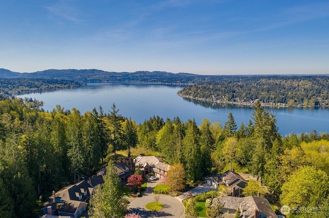 bird's eye view featuring a wooded view and a water view