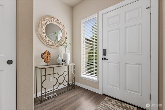 foyer with plenty of natural light and wood-type flooring