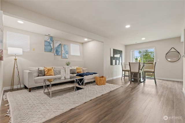 living room featuring hardwood / wood-style floors