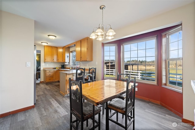 dining space featuring an inviting chandelier, sink, and dark hardwood / wood-style flooring