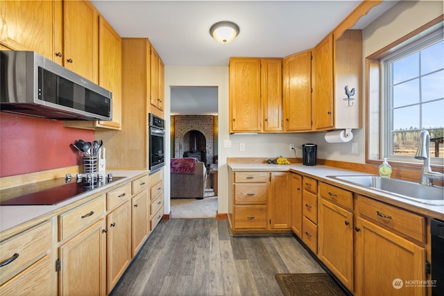 kitchen with dark hardwood / wood-style flooring, sink, and black appliances