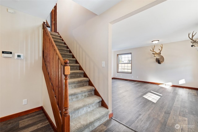 stairway with hardwood / wood-style floors