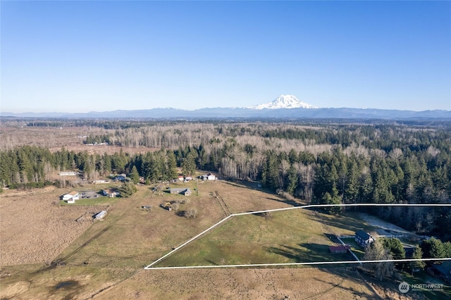 drone / aerial view with a mountain view