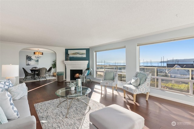 living room featuring a water view, ornamental molding, dark hardwood / wood-style flooring, and a textured ceiling