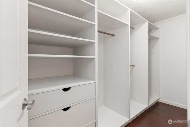 spacious closet with dark hardwood / wood-style floors