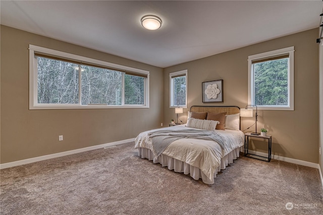 bedroom with carpet