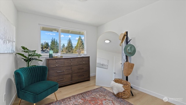 sitting room featuring light wood-type flooring