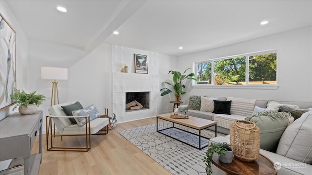 living room featuring a fireplace and light hardwood / wood-style flooring